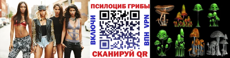 Псилоцибиновые грибы мицелий как найти наркотики Гдов